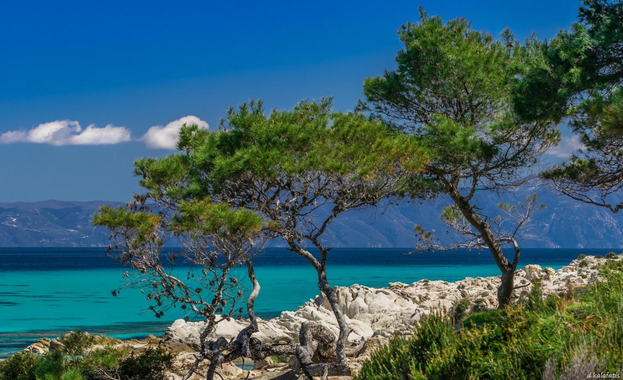 House Michalis Apart otel Sarti Dış mekan fotoğraf