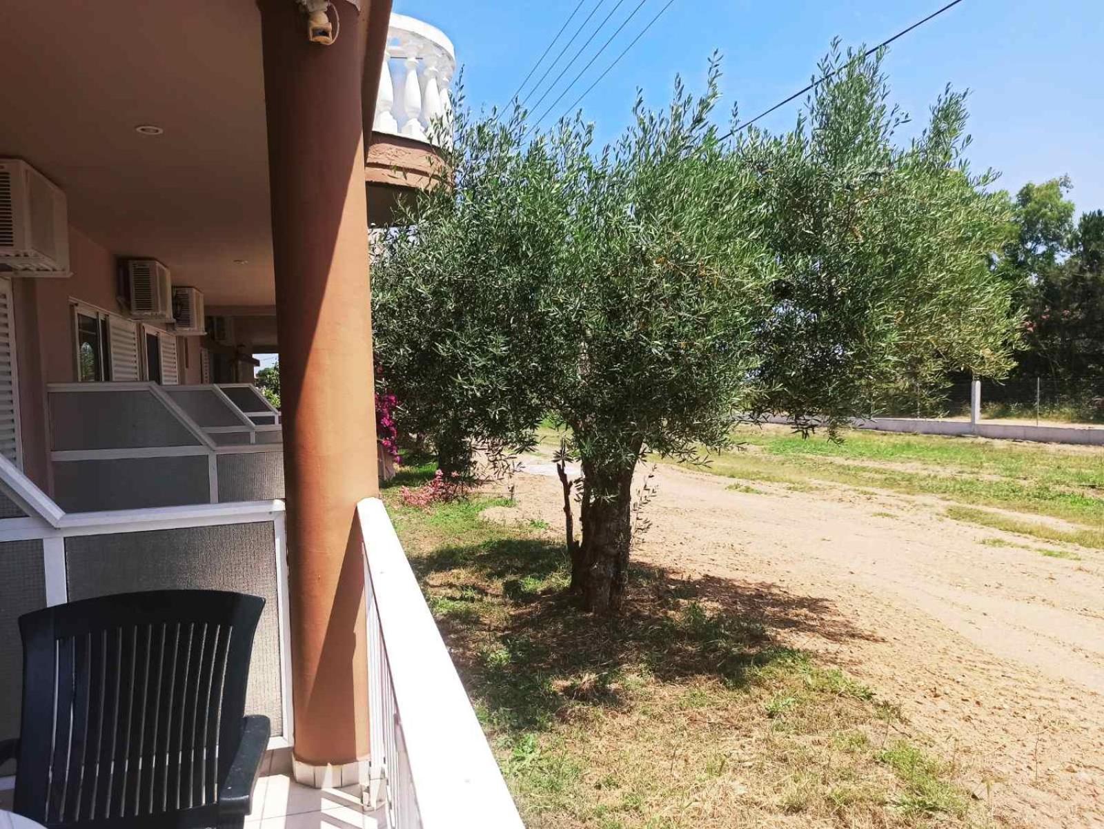 House Michalis Apart otel Sarti Dış mekan fotoğraf